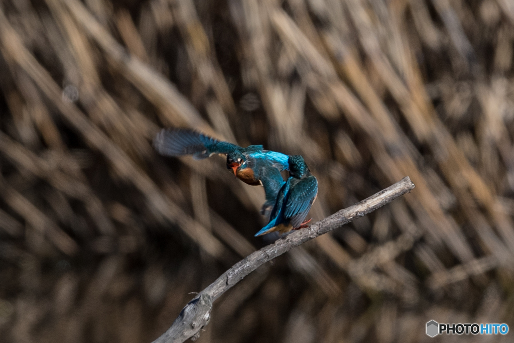 覚えてろよ(-_-メ)