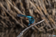 覚えてろよ(-_-メ)