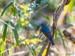 今シーズンは色んな所でお会いしましたね♡ 今シーズンは色んな所でお会いしましたね♡