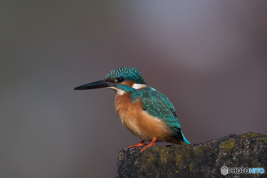 エメラルドブルーに魅せられて