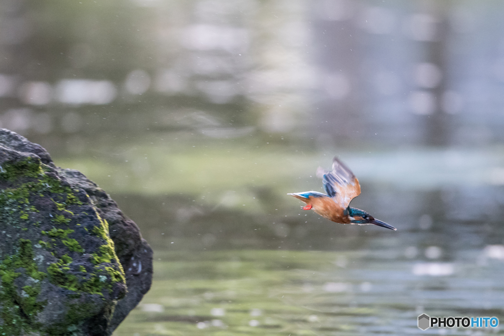 水面に向かって