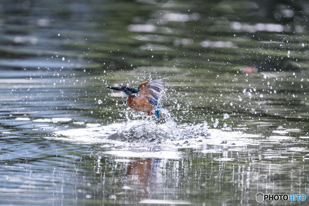 水のベールを振り払い