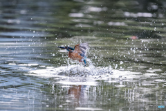 水のベールを振り払い