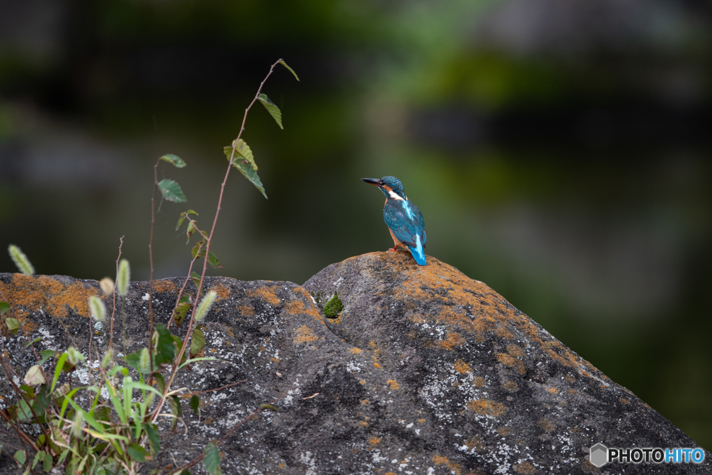 そこはかとなく秋