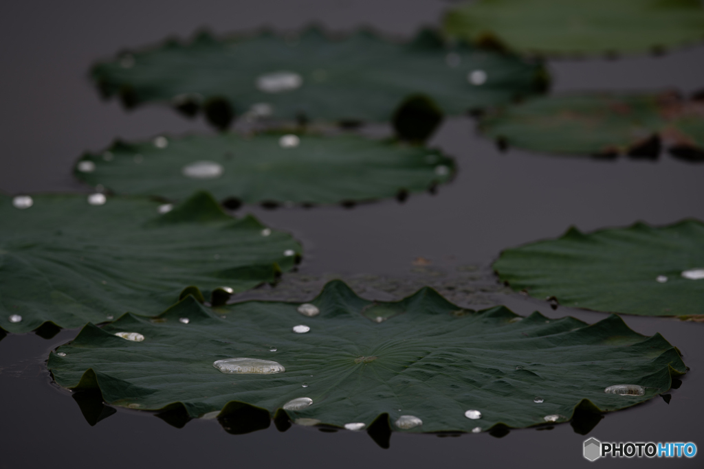 水滴