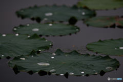 水滴