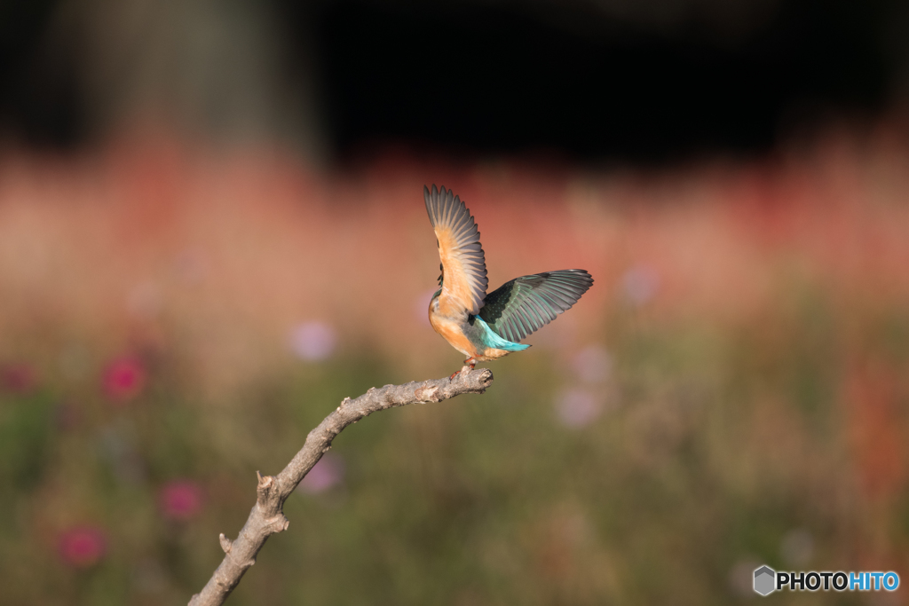180°ターン開始