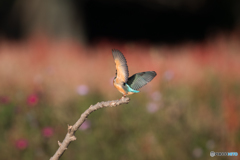 180°ターン開始