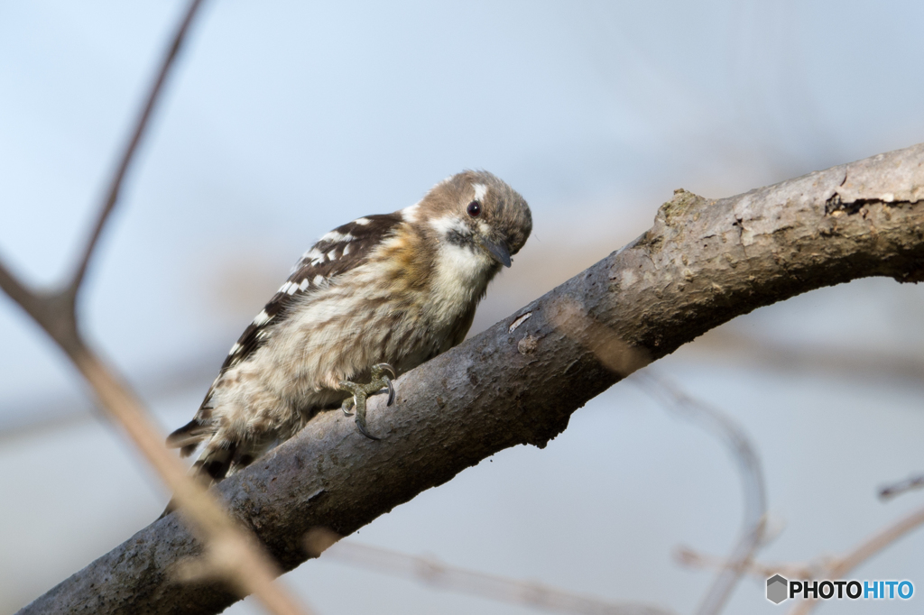 見つめられる♡