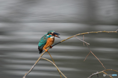 いただきま～す