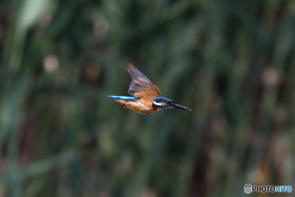 下面はオレンジ