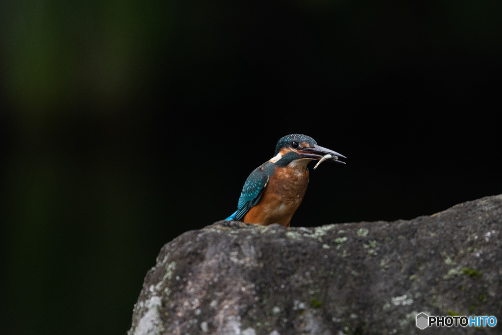 ちょっと小さいかなぁ