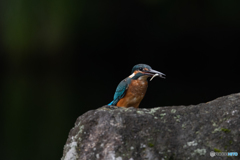 ちょっと小さいかなぁ