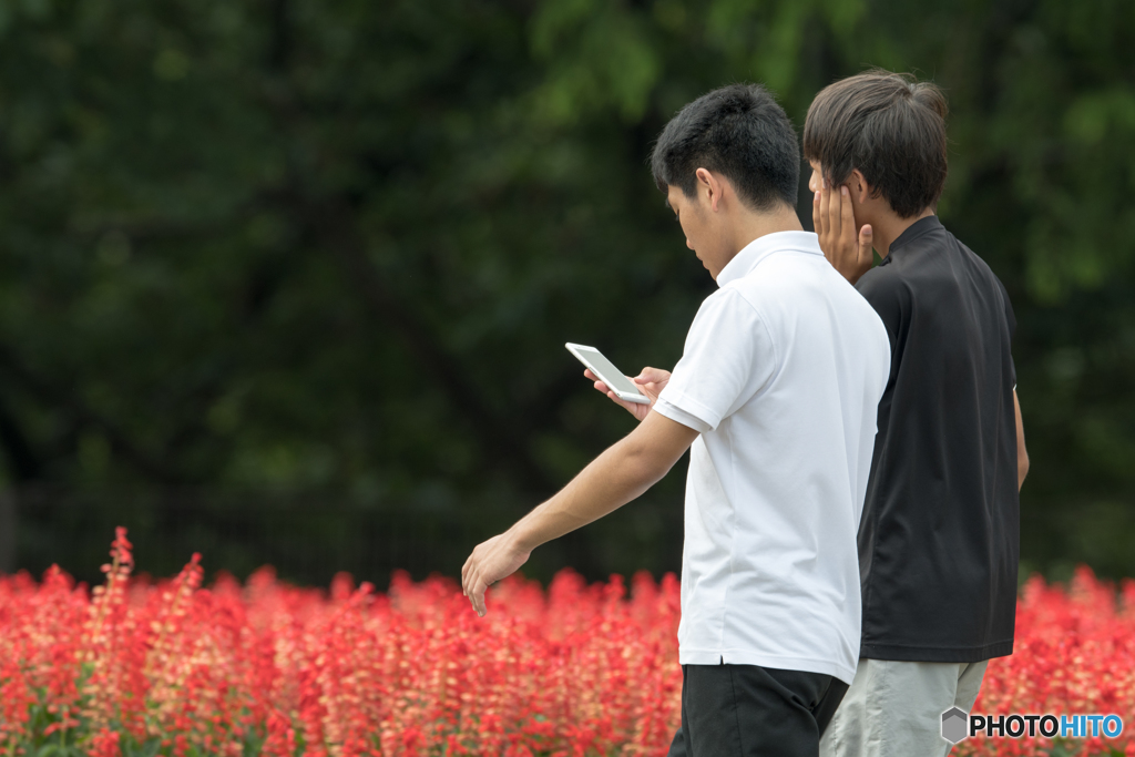 花よりポケモン