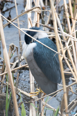 寝ているふりでしょ！