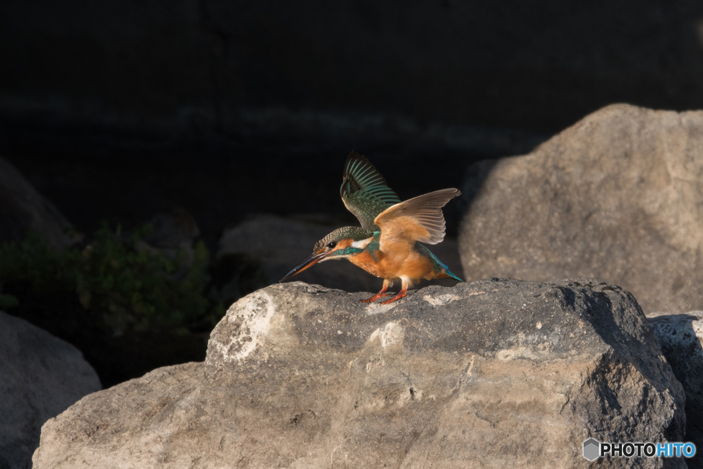 エンジェルポーズからの