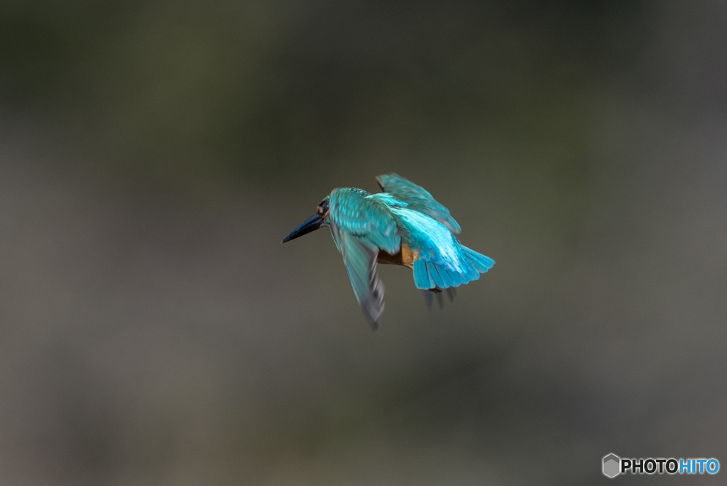 エメラルドブルー