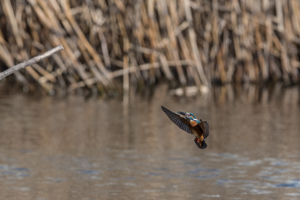 エアーブレーキ