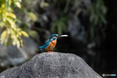 今度は持っていこう♡