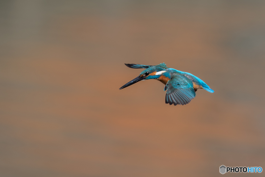 オレンジに青が映える