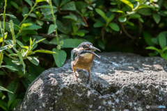 いただきまーす♡