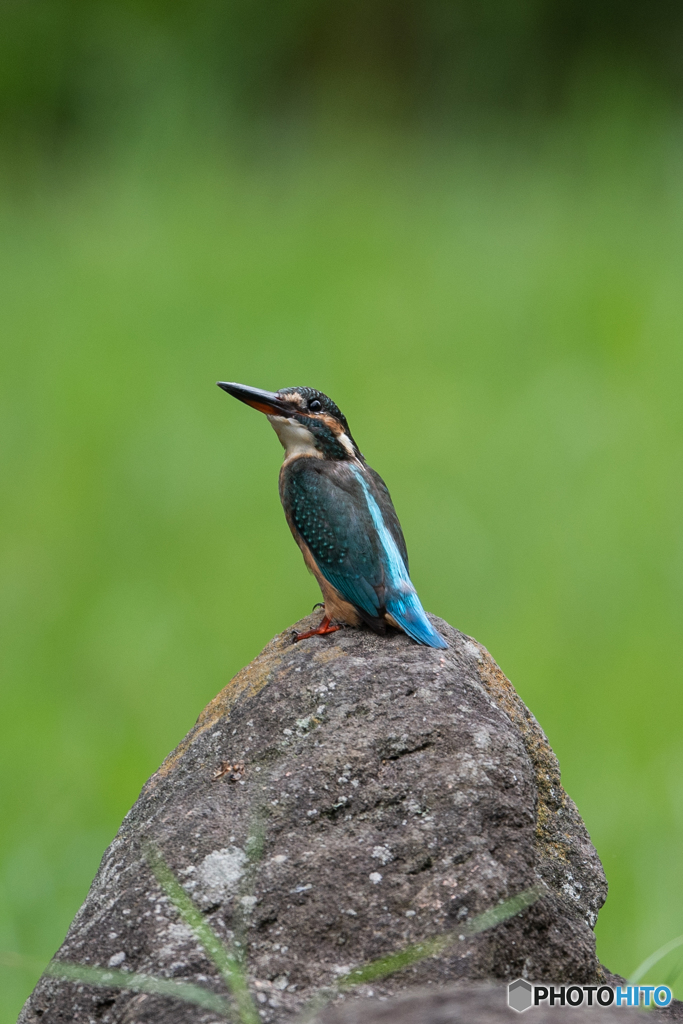 待ち焦がれる♡