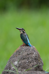 待ち焦がれる♡