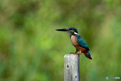 ナイスランディング