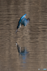 しっかり見据えて