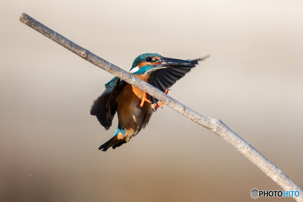 エアーブレーキ