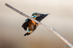 エアーブレーキ