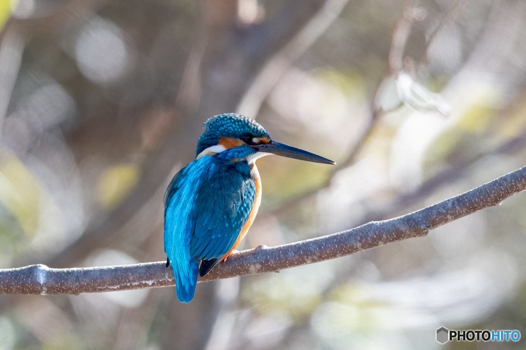 逆光低コントラストブルー