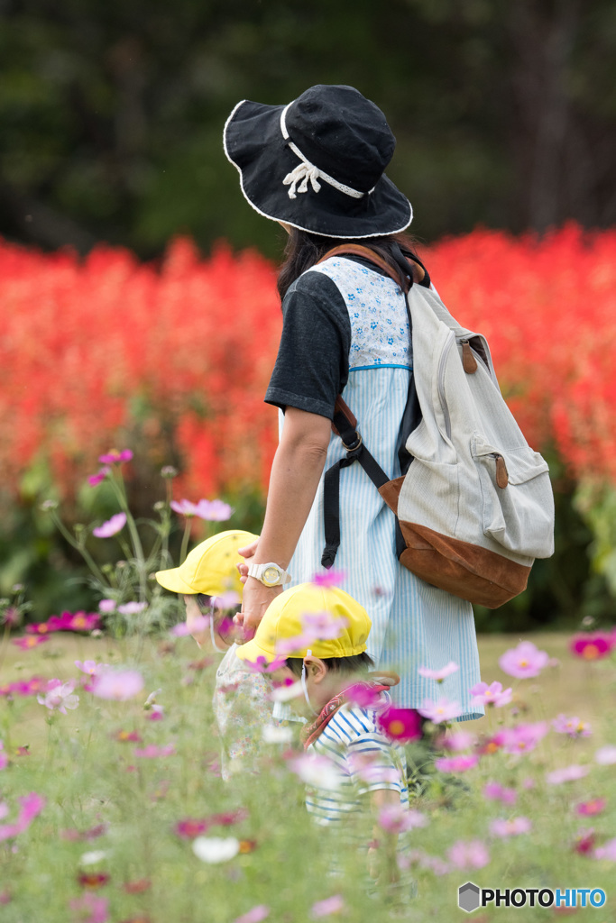 お散歩