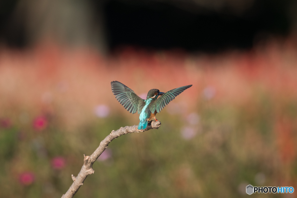 180°ターン終了