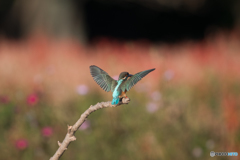 180°ターン終了