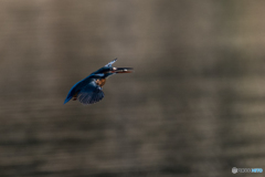 漁場から食卓まで