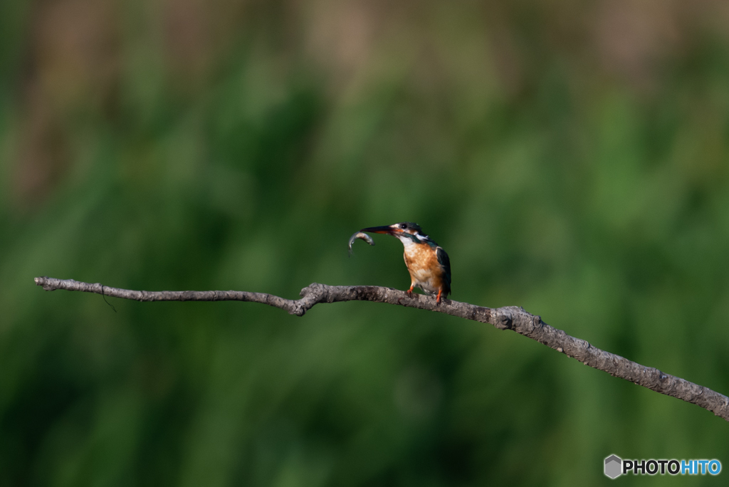 ちょっと小さい
