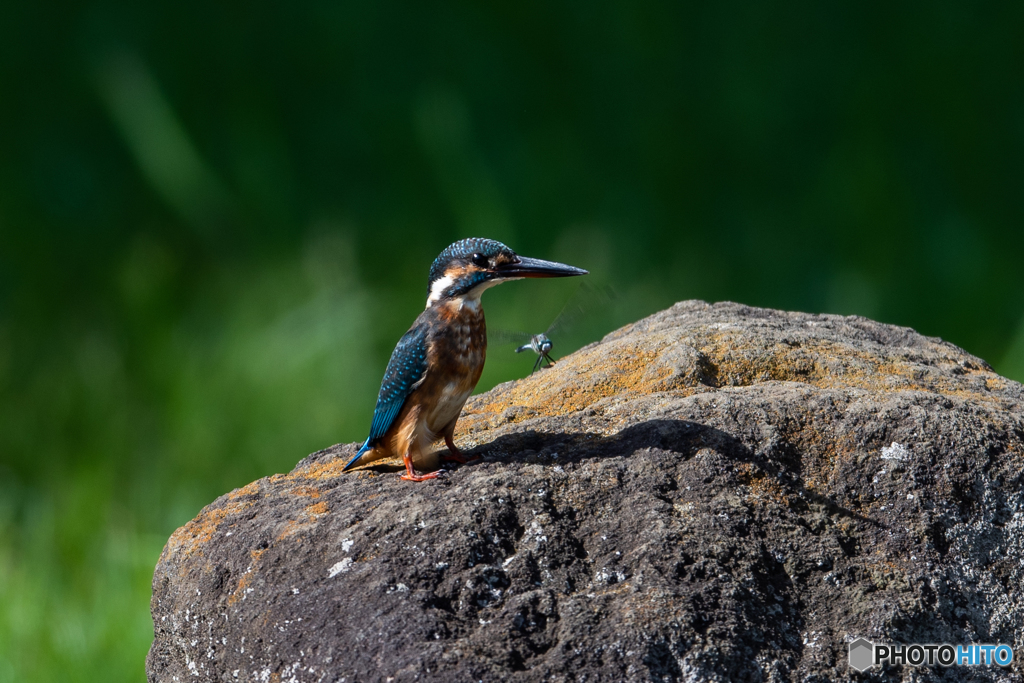 でも、ちょっと うざいかも…