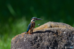 でも、ちょっと うざいかも…