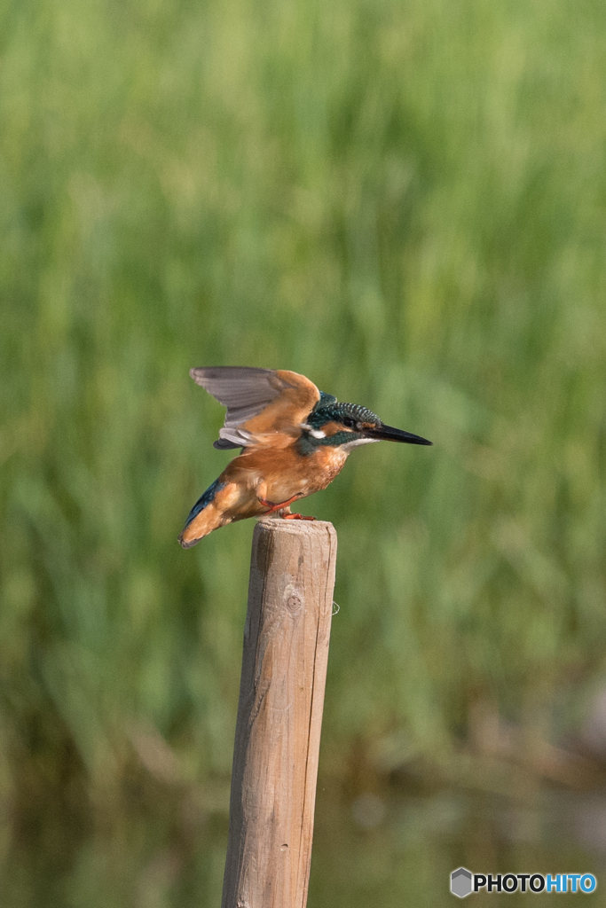 位置について　よーい