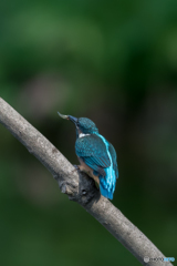 いただきまーす♡