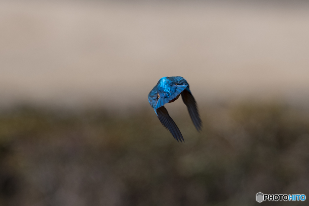 では、さいなら。