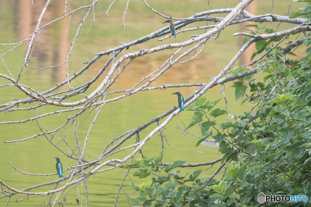 皆でどこを見ているの？