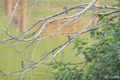 皆でどこを見ているの？