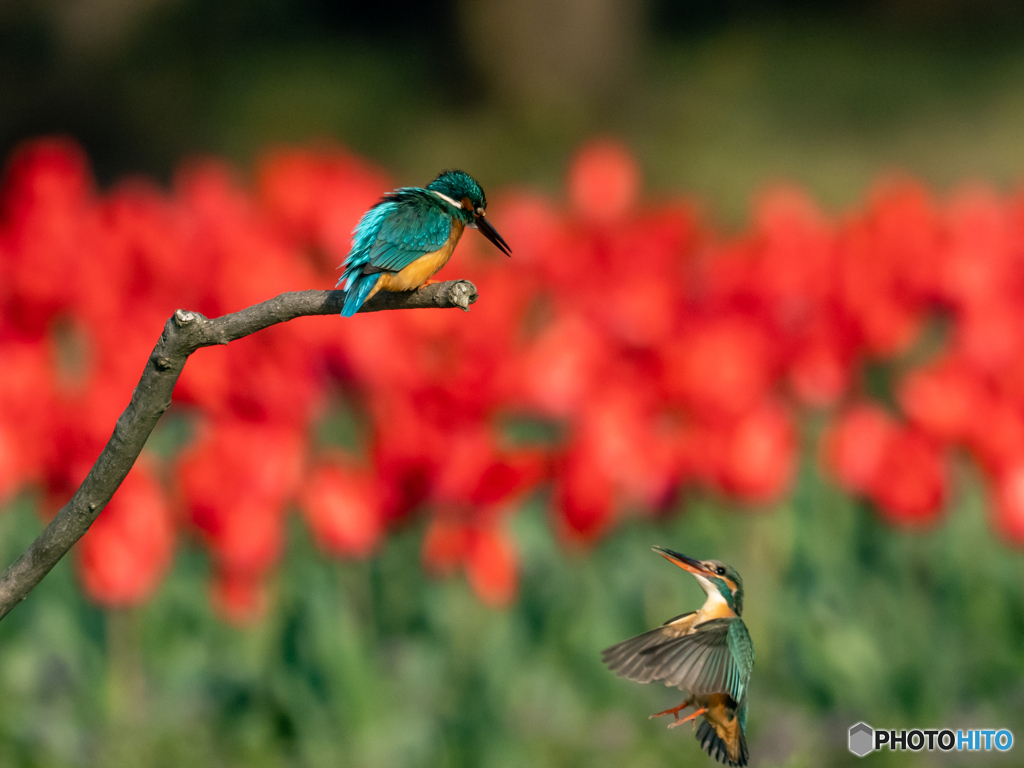 こっちに来なよ♡