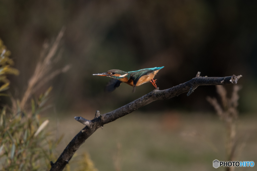 ロケットスタート