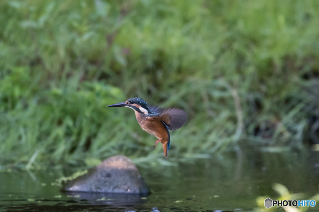 低空ホバからの