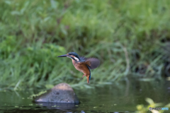 低空ホバからの