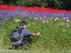 花撮りびと