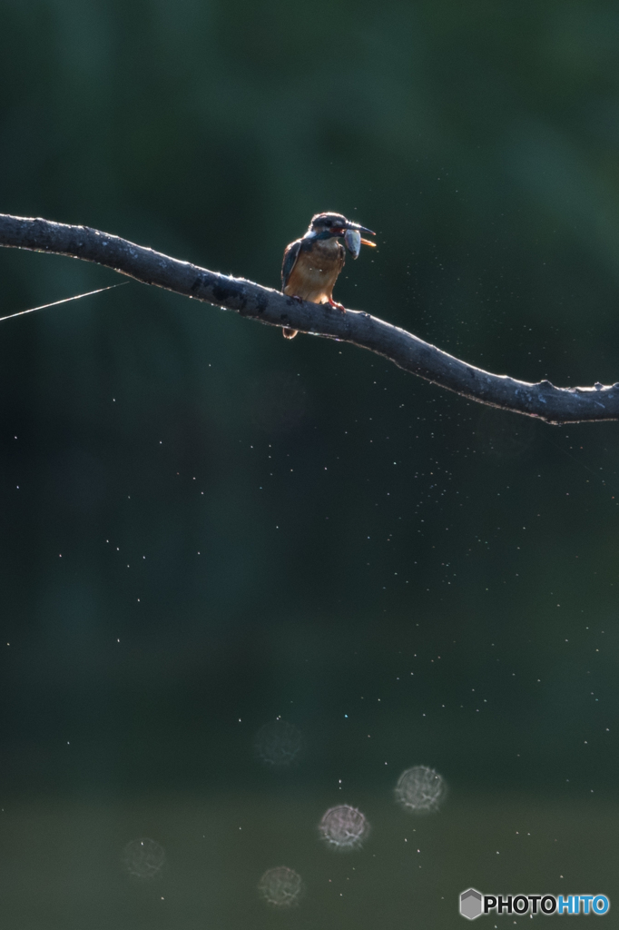 そして、いただきまーす♡